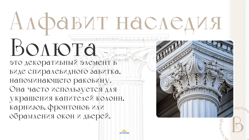 волюта главное фото (1).png