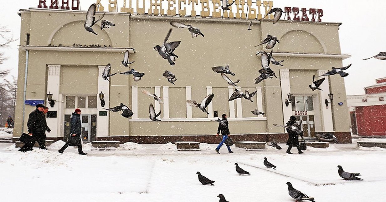 5 проектов реконструкции столичных кинотеатров