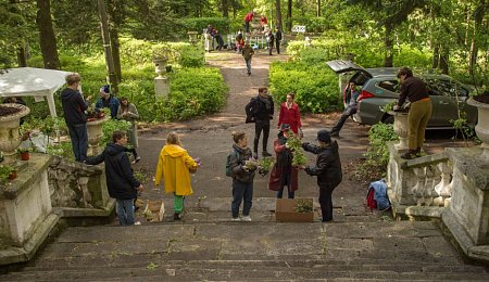 Школа садово-паркового искусства продолжает свою работу в Быково