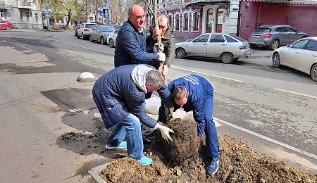 В САРАТОВЕ ПРОВЕДЕНА НЕДЕЛЯ ЗАБОТЫ О ПАМЯТНИКАХ