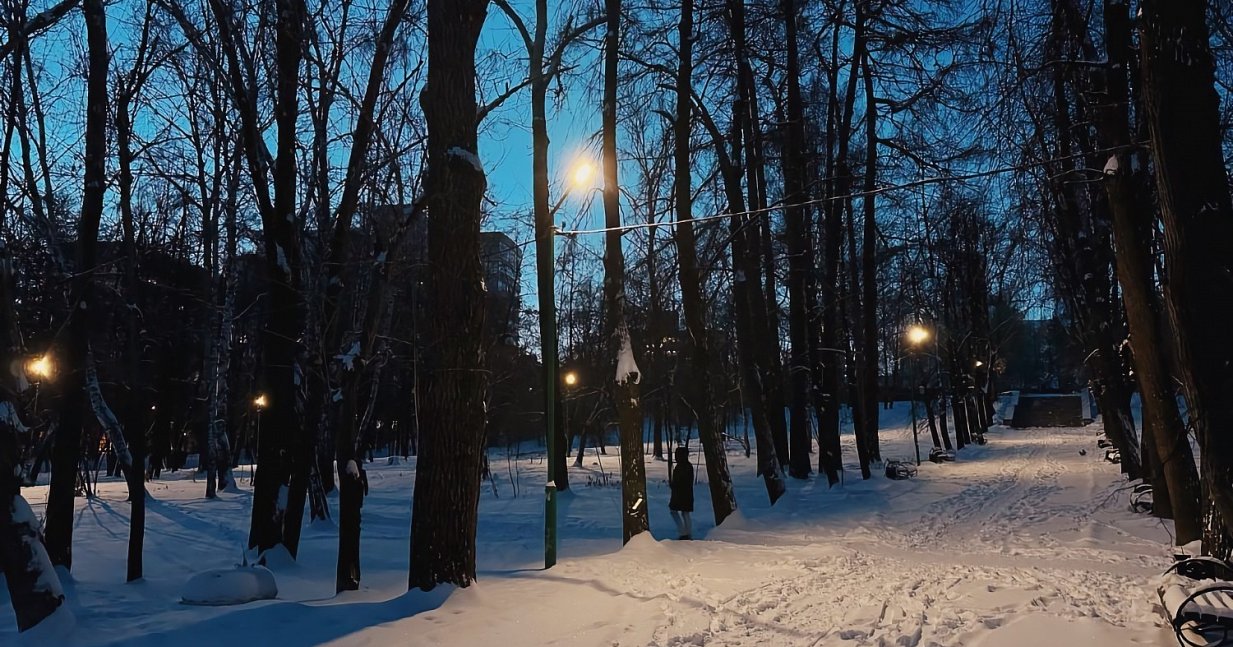 В парке усадьбы Расторгуева-Харитонова установили новое освещение